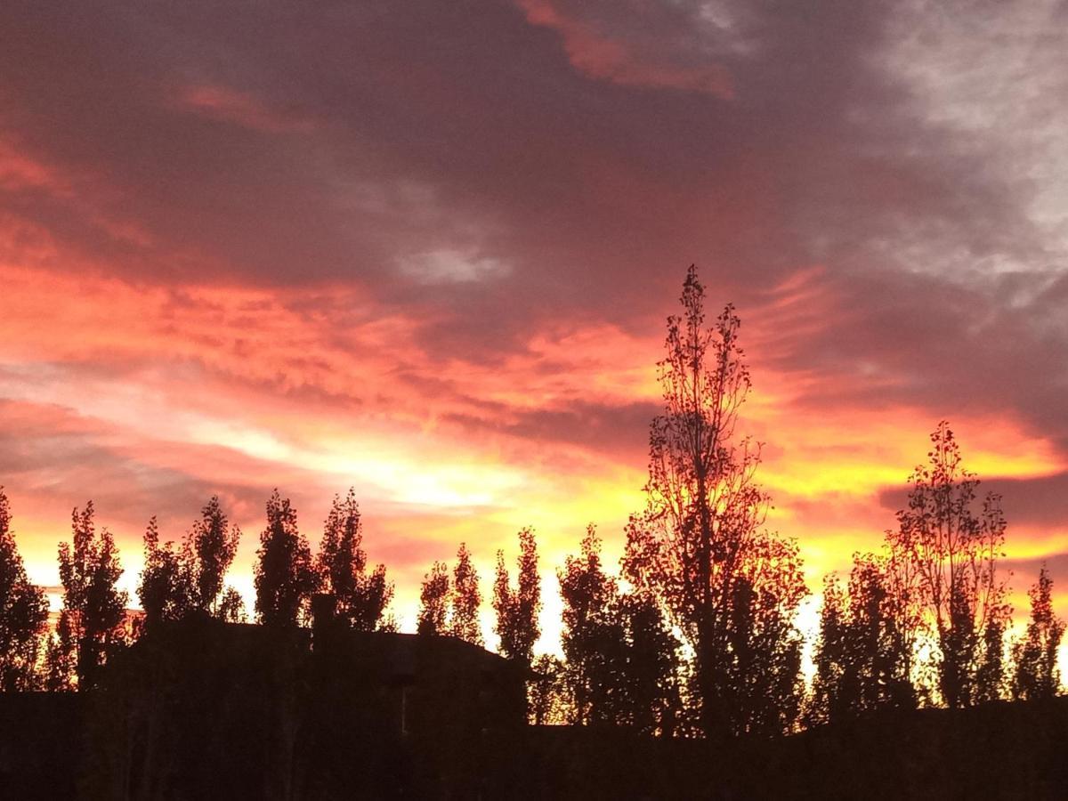 Cielos Patagonicos Aparts เอลกาลาฟาเต ภายนอก รูปภาพ
